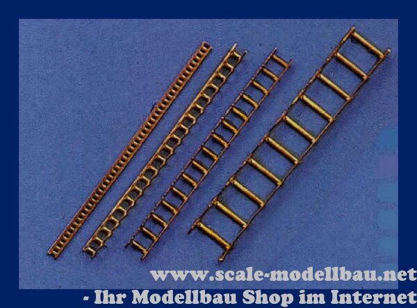Leiter Ms 10x250mm
