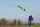 Spike E-Segelflugmodell
