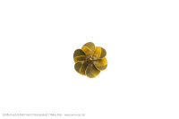 S-Schr.Ms 6Bl.D 20/M3l