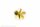 S-Schr.Ms 5Bl.A 70/M4l