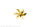 S-Schr.Ms 6Bl.B 55/M4 r