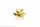 S-Schr.Ms 6Bl.B 70/M4 l