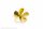 S-Schr.Ms 5Bl.A 85/M5 l