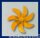 S-Schr.Ms 7Bl.B 60/M5 r
