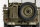 RocHobby 1941 Willys MB Scaler 1:12 - Crawler RTR 2.4GHz