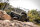 RocHobby 1941 Willys MB Scaler 1:12 - Crawler RTR 2.4GHz