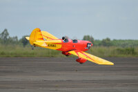 Phoenix Spacewalker II - 160 cm