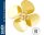 KrickMS-Propeller Serie 174 4Bl-60-R-M5