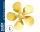 KrickMS-Propeller Serie 181 5Bl-70-L-M5