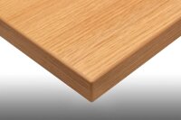 actiforce Tischplatte eiche rechteckig 160,0 x 80,0 x 2,5 cm