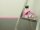 3M 2072 Malerband pink 36,0 mm x 50,0 m 1 Rolle