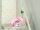 3M 2072 Malerband pink 30,0 mm x 50,0 m 1 Rolle
