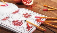 STABILO point 88 Fineliner farbsortiert 0,4 mm, 10 St.