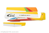 CAT-S Segelflugmodell