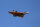 Delta 24 Trigon